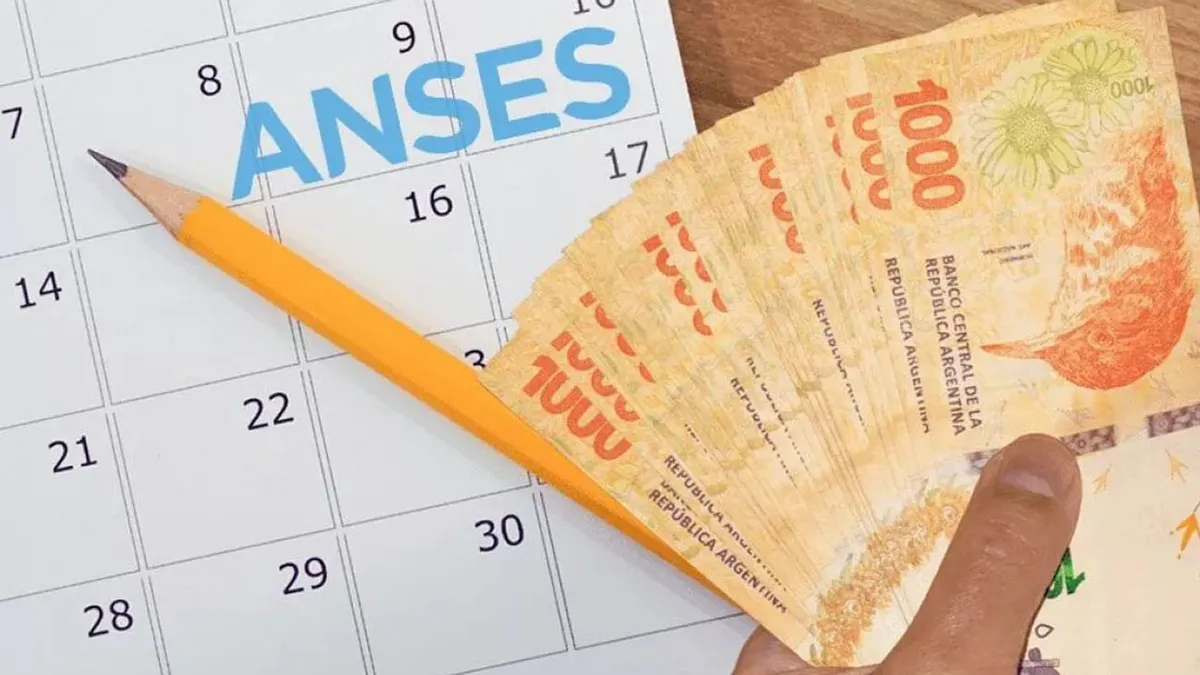 PAGO ANSES