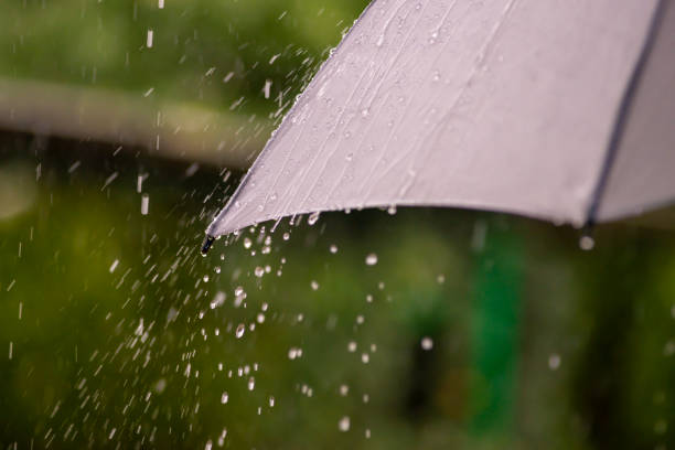 PARAGUAS LLUVIA