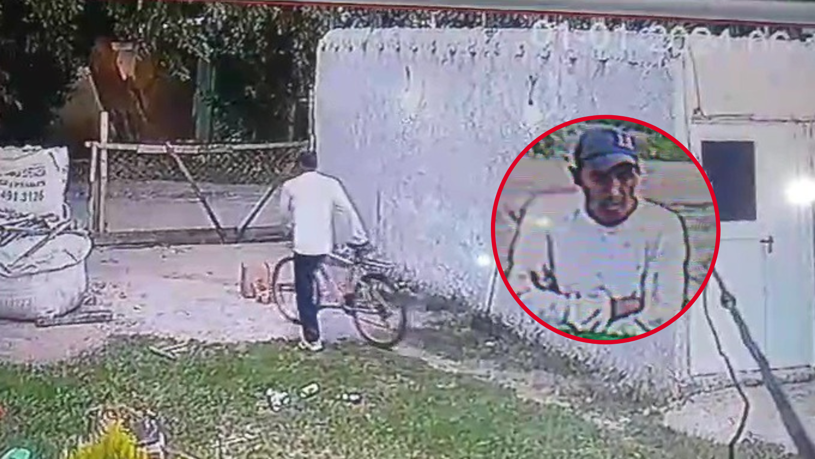 Video | Escrachan a un ladrón que se llevó una bicicleta de una casa de 521 y 213 bis