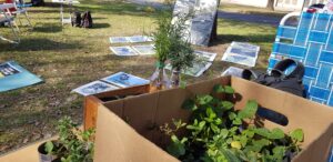 intercambio de semillas 8vo encuentro (4)