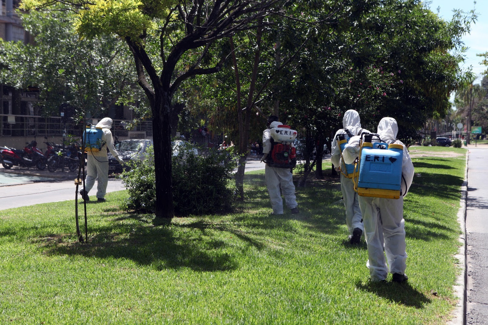 Declaran un brote epidemiológico de Dengue en la ciudad de La Plata