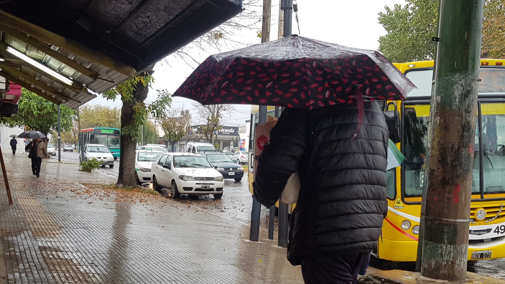 Lluvia3