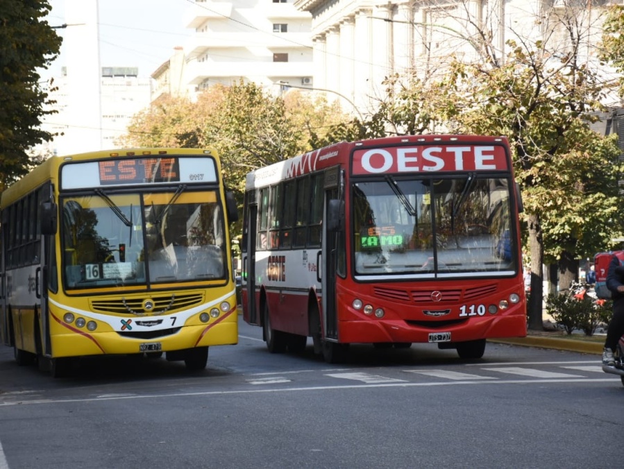 colectivo-micro-transporte-la-plata