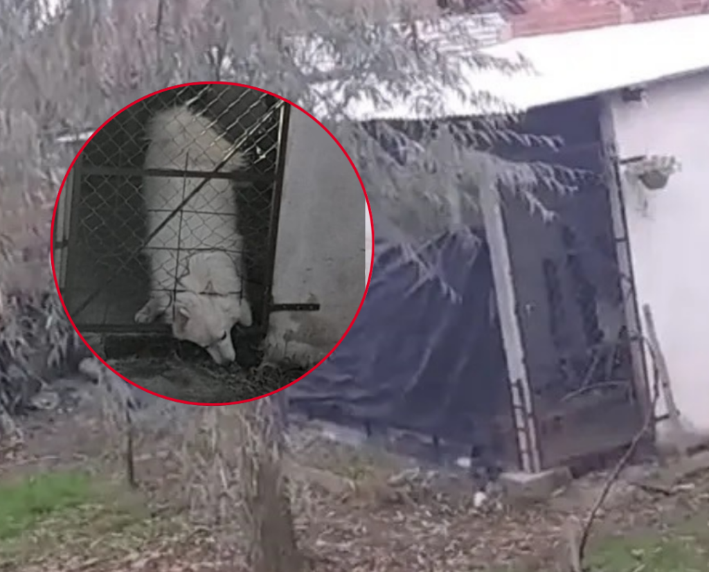 Encontraron en Mar del Plata a la menor que había desaparecido en la zona de Av. 1 y 60. - 2024-10-08T131516.212