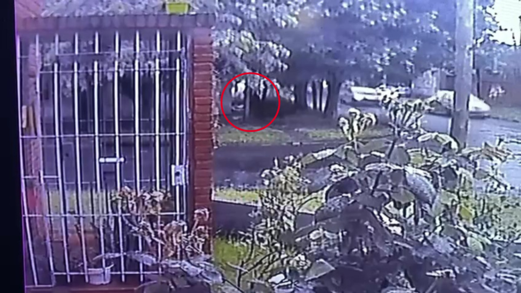 CAPTURA DE VIDEO BEBÉ ABANDONADO