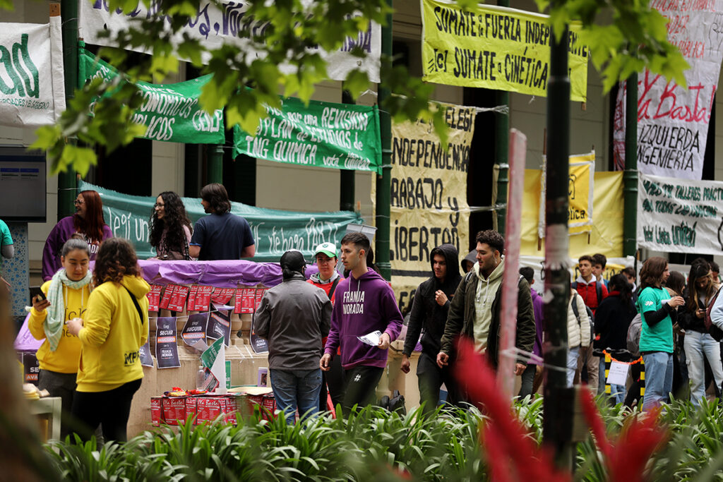elecciones-unlp