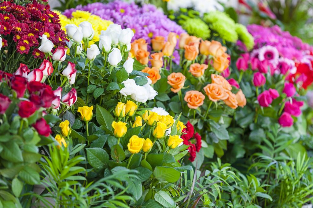 flores