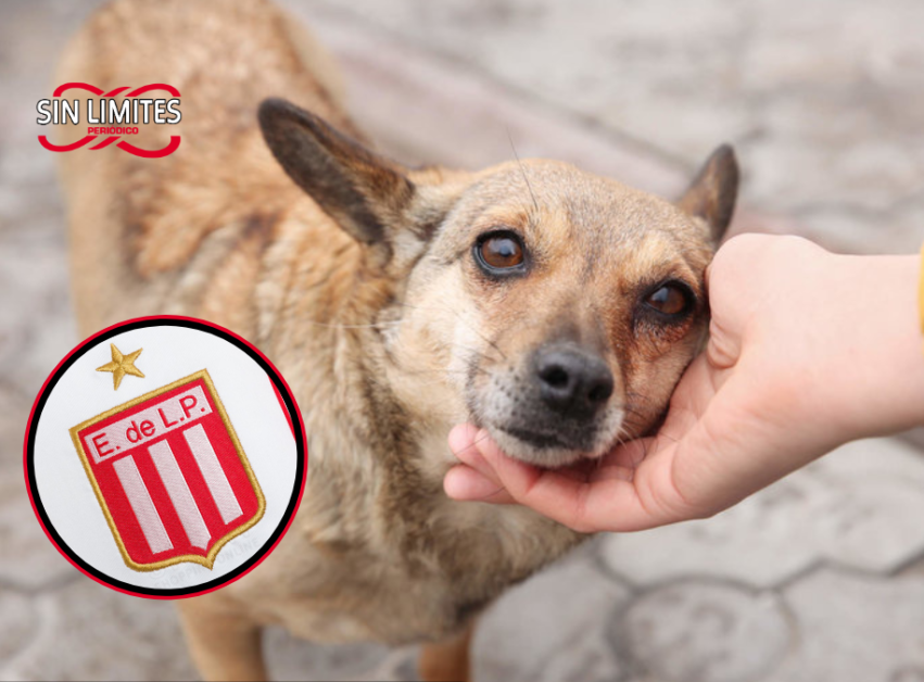 Encontraron en Mar del Plata a la menor que había desaparecido en la zona de Av. 1 y 60. (46)