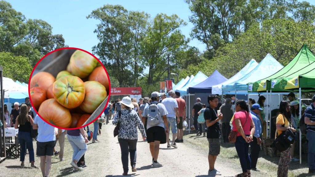 20 FIESTA DEL TOMATE PLATENSE