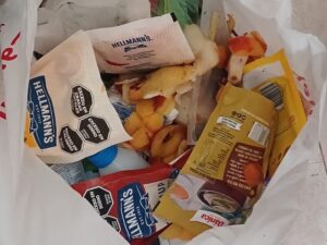 COMIDA EN MAL ESTADO (1)