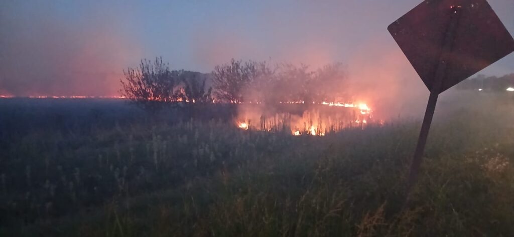 Bomberos de El Peligro combatieron un incendio forestal en la rotonda de Ruta 6 y Ruta 53