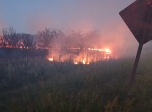 Bomberos de El Peligro combatieron un incendio forestal en la rotonda de Ruta 6 y Ruta 53