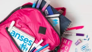 ayuda-escolar-de-anses-_
