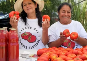 fiesta-tomate-platense