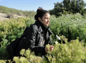 gisela-villagran-3jpeg