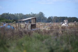 terrenos-toma-de-tierras