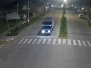 ROBO CAMIÓN LOS HORNOS (2)