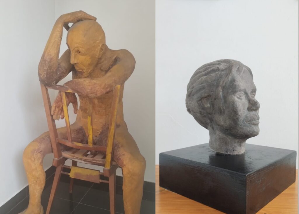obras-daniela-rojas