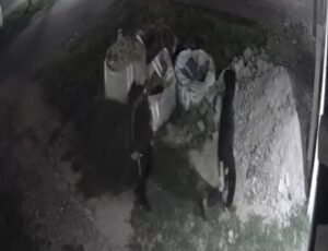 robo-obra-los-hornos