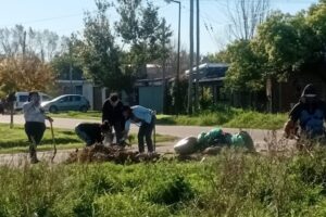 MEDIO AMBIENTE PLAZA SANTA ANA (4)