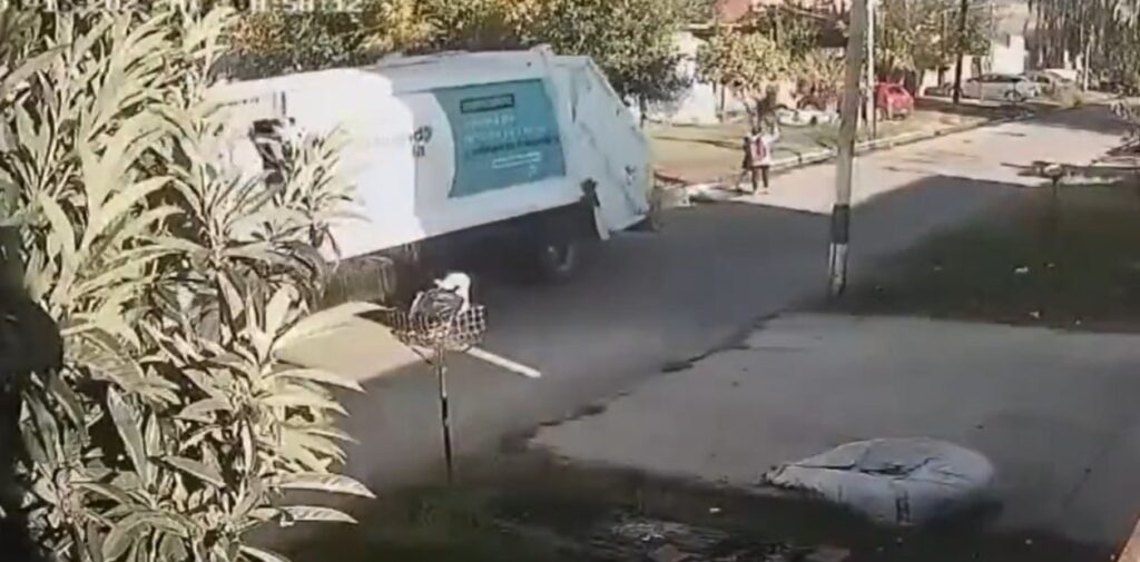 CAMION