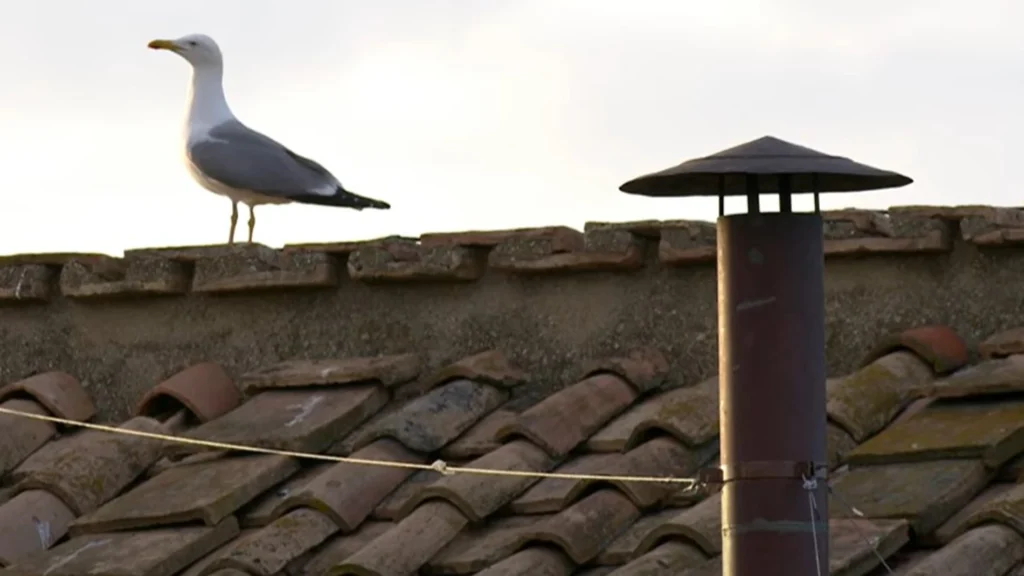 CHIMENEA VATICANO