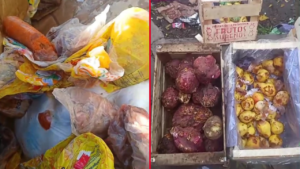 COMIDA EN MAL ESTADO ESCUELA 57