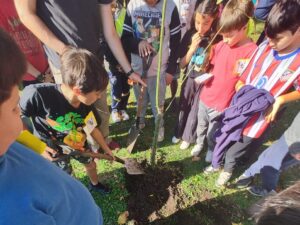 PLANTARON UN ARBOL EN 52 Y 229 (2)