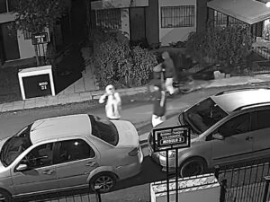 ROBO BARRIO CANO FUNES (2)