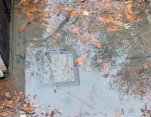 RECLAMO-DESBORDE-CLOACAL