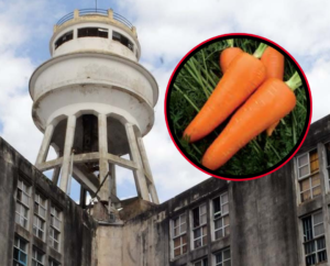 olmos-penal-unidad-1-preso-abusado