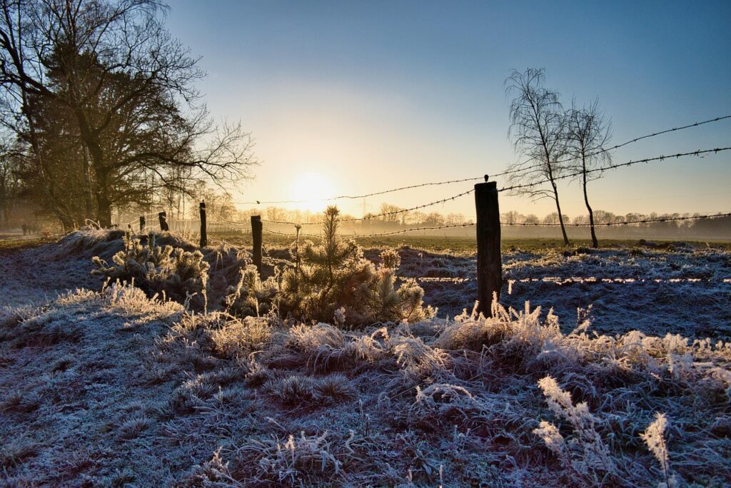 CAMPO HELADA SOL INVIERNO