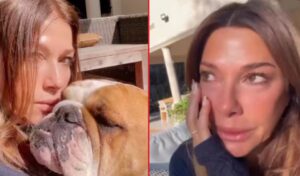 CATY FULOP TRISTE PERRO