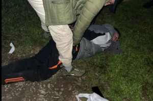 DETENIDO - ROBOS - ARMA DE FUEGO