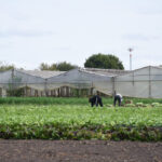 Preparan una capacitación gratuita sobre costos agropecuarios para productores en Poblet