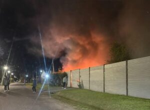 INCENDIO VIVIENDA GORINA