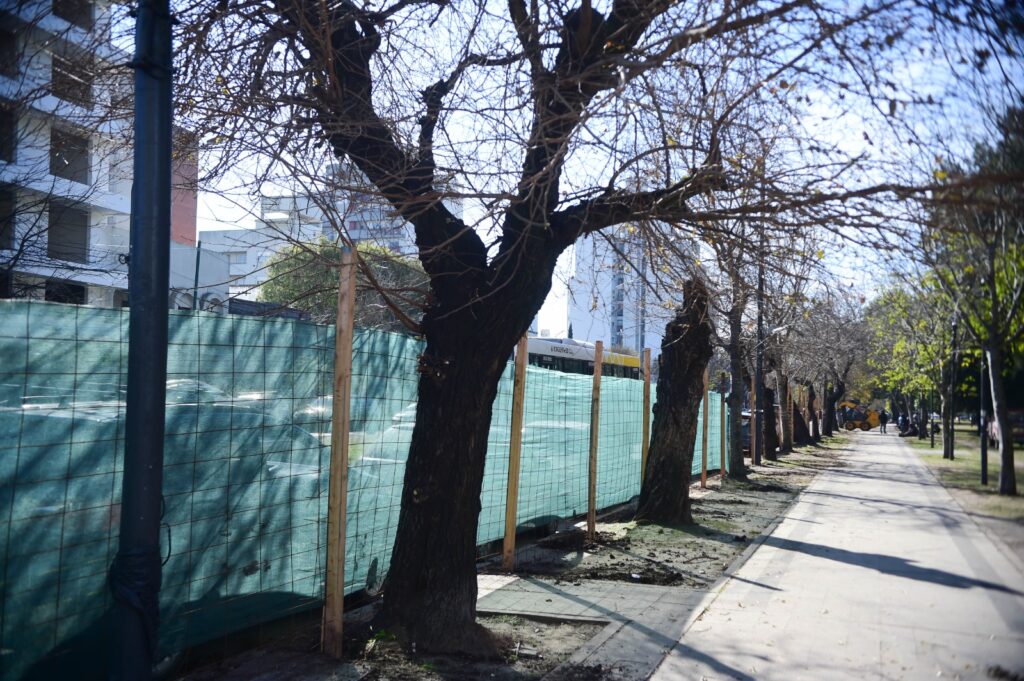 PARQUE SAAVEDRA