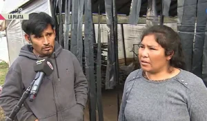 dueños de los perros en arturo seguí