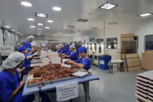 600x400_fentanilo-dio-mal-chats-revelan-caos-laboratorios-investigados-96-muertes-1099113-175522