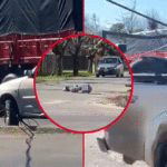 Caos total en 44 y 208: cables caídos, autos enredados y semáforos rotos