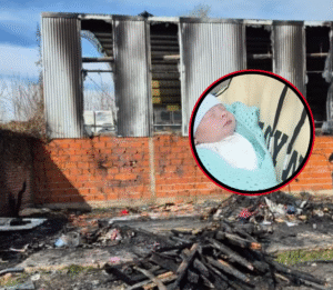 FOTO SOLA - 2025-08-08T125059.768