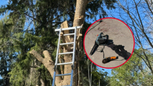 JUBILADO FALLECIÓ MIENTRAS PODABA UN ÁRBOL