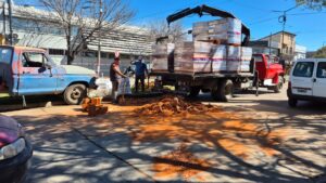 LADRILLOS CAIDOS EN 137 Y 66} (1)