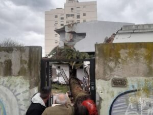PALMERA CAYÓ EN 35 Y 26