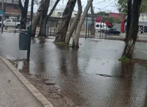 PARQUE JULIO LOPEZ - LOS HORNOS