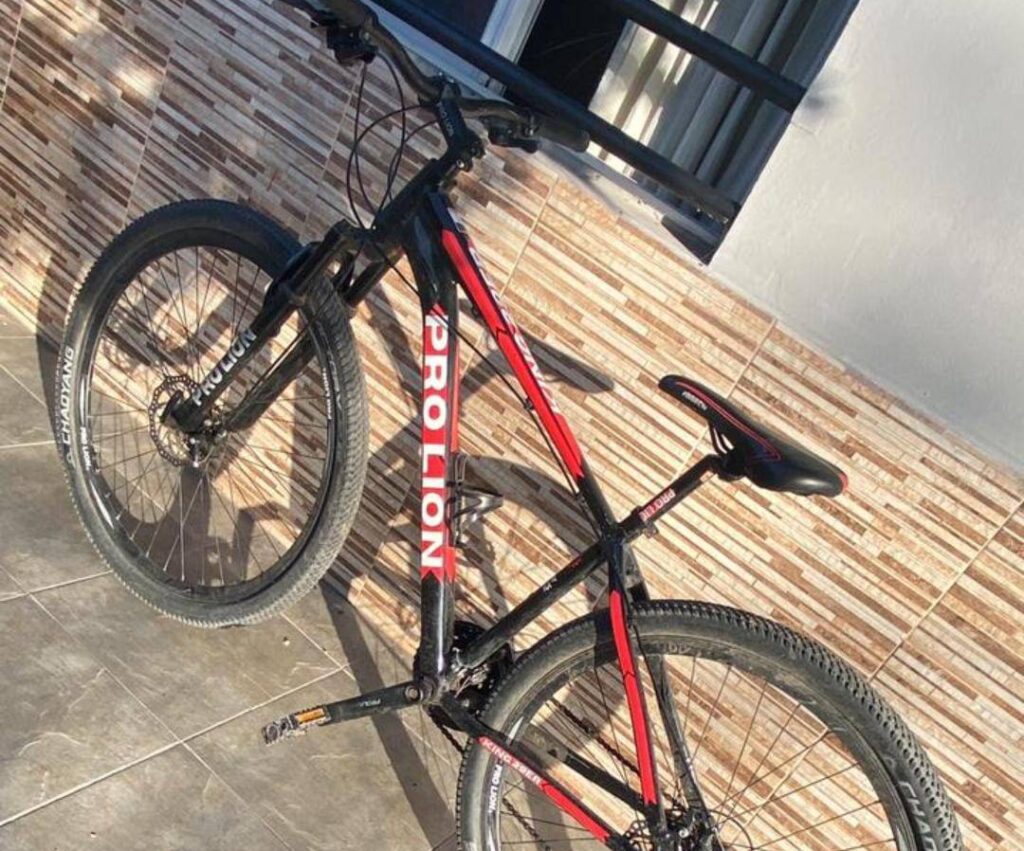 ROBO BICICLETA
