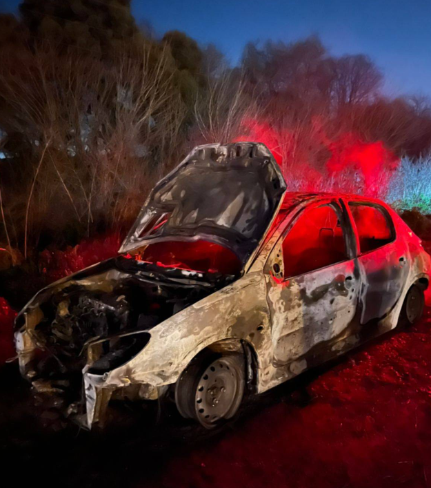 AUTO INCENDIADO