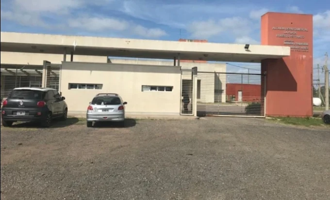 ALCAIDÍA PETTINATO