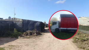 CAMIÓN CHOCÓ A NENA EN UNA QUINTA 1