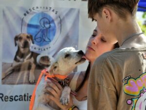 JORNADA DE ADOPCIÓN RESCATISTAS LA PLATA PLAZA MALVINAS